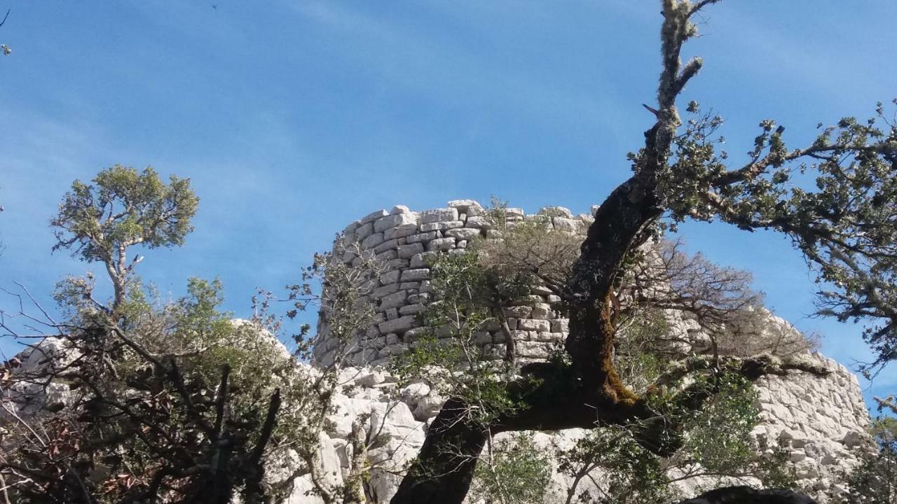 Apartamento Sa Dommo De Mammai Cala Gonone Exterior foto